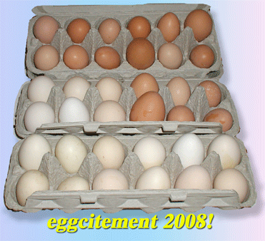 eggcitement!  