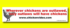Buy outlaw chicken bumper stickericker